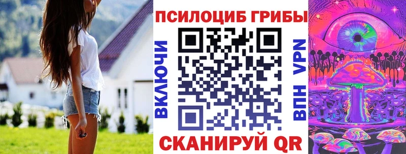 hydra маркетплейс  Дзержинск  мориарти наркотические препараты  Псилоцибиновые грибы прущие грибы 