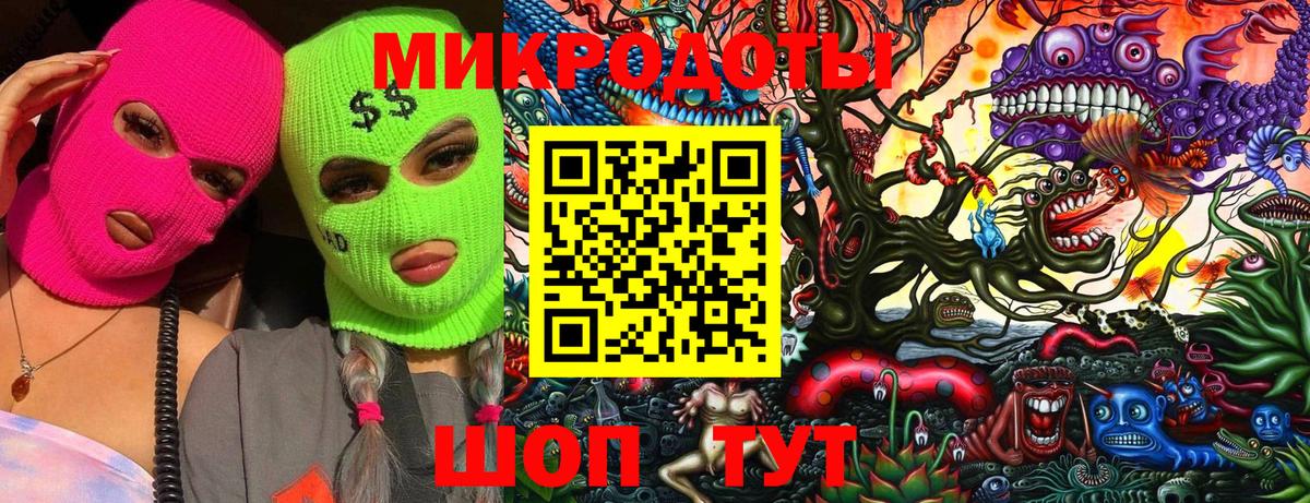 Псилоцибиновые грибы прущие грибы  Дзержинск  где купить наркотик  Псилоцибиновые грибы Psilocybine cubensis 