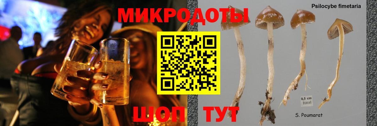 Дзержинск  Галлюциногенные грибы мухоморы  Вход с VPN  Псилоцибиновые грибы Psilocybine cubensis 